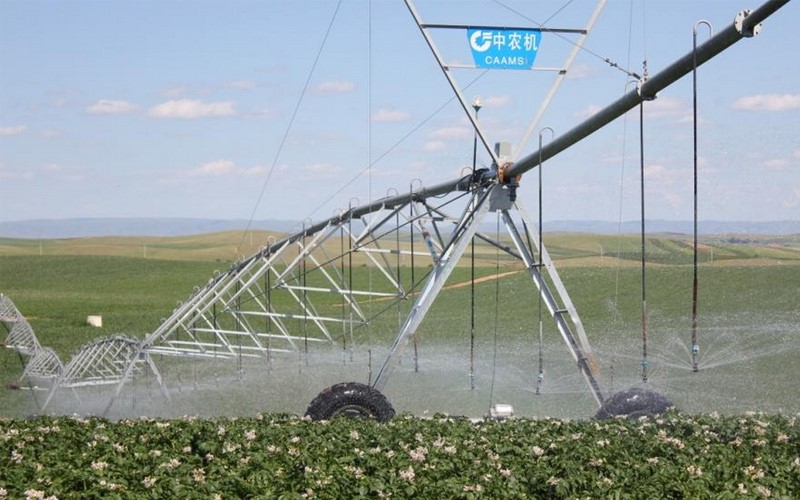 無土栽培，無土栽培技術，無土栽培設備