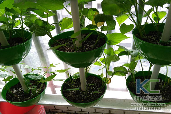 無土栽培，無土栽培技術，無土栽培設備