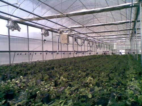 無(wú)土栽培，無(wú)土栽培技術(shù)，無(wú)土栽培設(shè)備