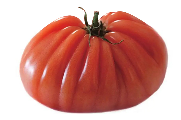 無土栽培，無土栽培技術，無土栽培設備