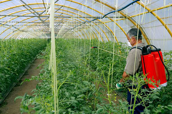 無(wú)土栽培，無(wú)土栽培技術(shù)，無(wú)土栽培設(shè)備