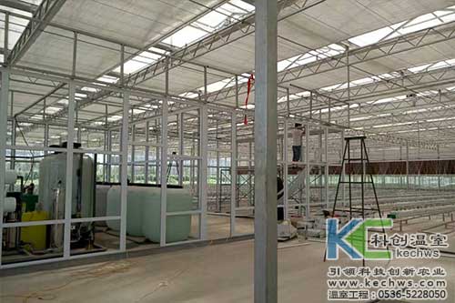 基質(zhì)栽培,無土栽培