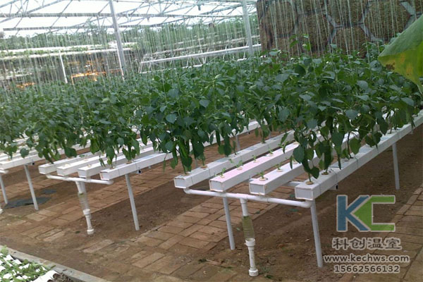 無土栽培，無土栽培技術，無土栽培設備
