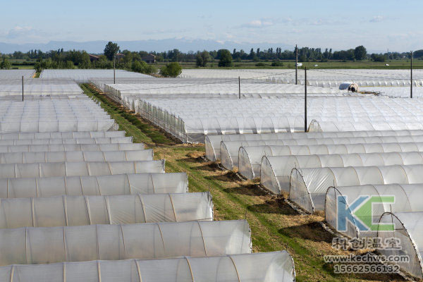 無土栽培，無土栽培技術(shù)，無土栽培設備