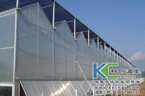 無土栽培，無土栽培技術(shù)，無土栽培設(shè)備