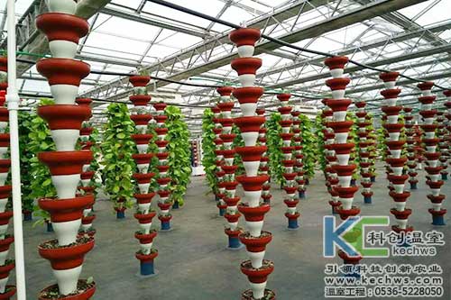 無(wú)土栽培，無(wú)土栽培案例