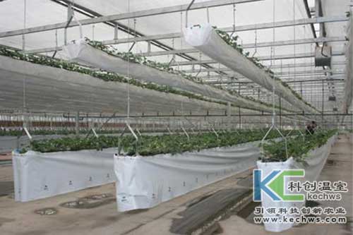 無(wú)土栽培，無(wú)土栽培技術(shù)，無(wú)土栽培設(shè)備
