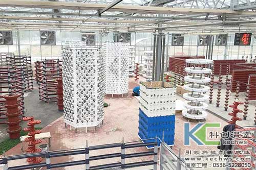 無(wú)土栽培，無(wú)土栽培案例