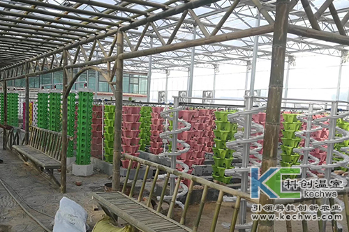 無土栽培,無土栽培技術,工程