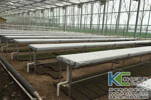 無(wú)土栽培，無(wú)土栽培技術(shù)，無(wú)土栽培設(shè)備