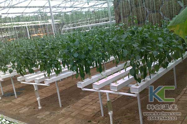 無土栽培，無土栽培技術(shù)，無土栽培設(shè)備