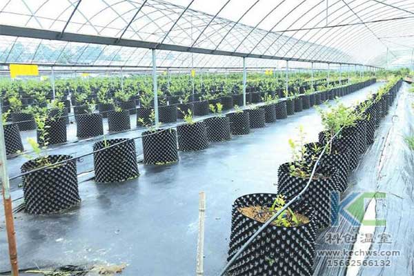 無(wú)土栽培，無(wú)土栽培技術(shù)，無(wú)土栽培設(shè)備