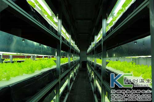 無土栽培，無土栽培技術(shù)，無土栽培設(shè)備