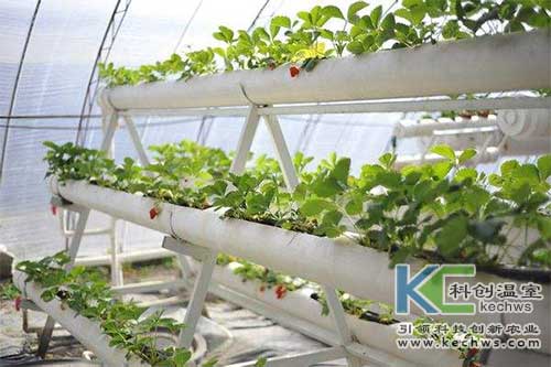 無土栽培，無土栽培技術，無土栽培設備