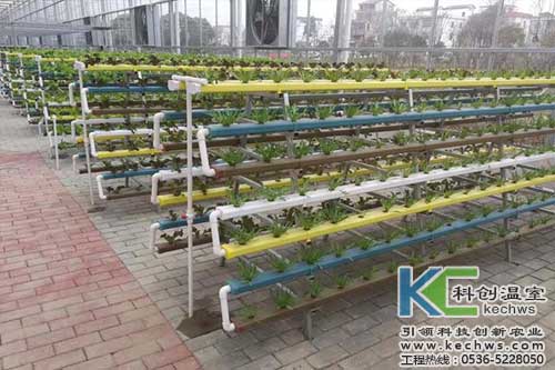 無土栽培，無土栽培技術(shù)，無土栽培設備