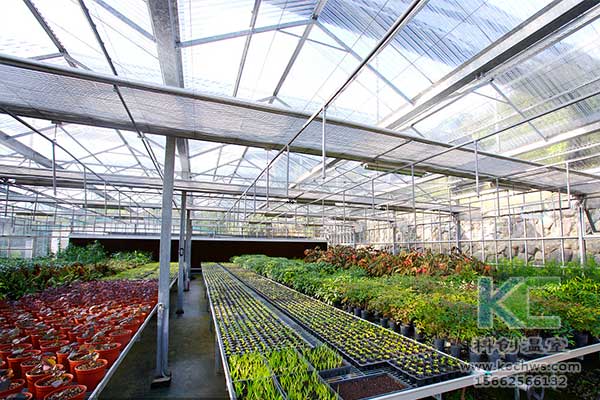 無土栽培，無土栽培技術，無土栽培設備