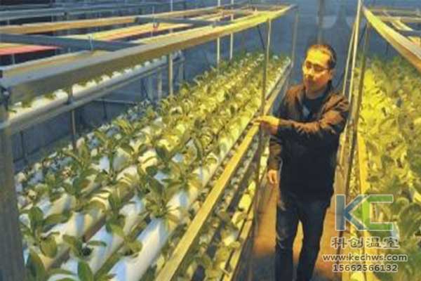 無土栽培，無土栽培技術，無土栽培設備