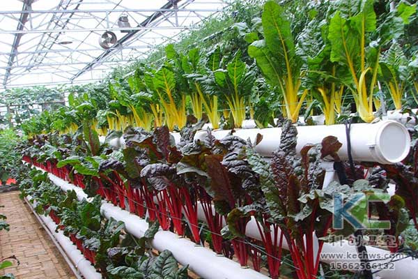 無土栽培，無土栽培技術，無土栽培設備