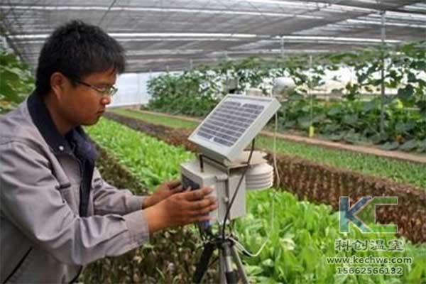 無土栽培，無土栽培技術，無土栽培設備