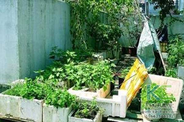 無土栽培，無土栽培技術(shù)，無土栽培設備