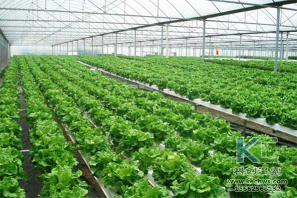 無土栽培，無土栽培技術(shù)，無土栽培設備