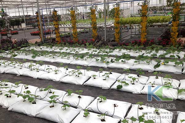 無土栽培，無土栽培技術，無土栽培設備