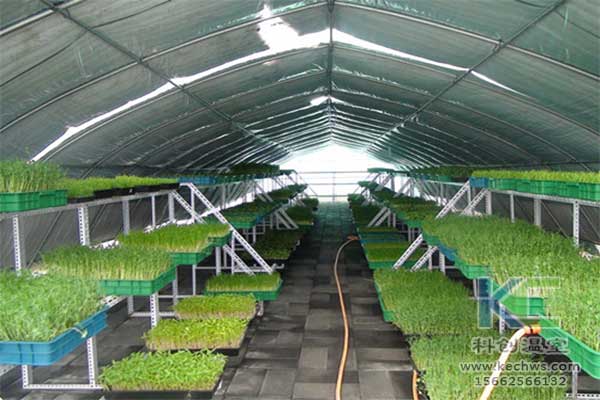 無土栽培，無土栽培技術