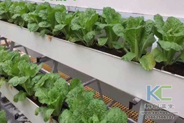 無土栽培，無土栽培技術，無土栽培設備