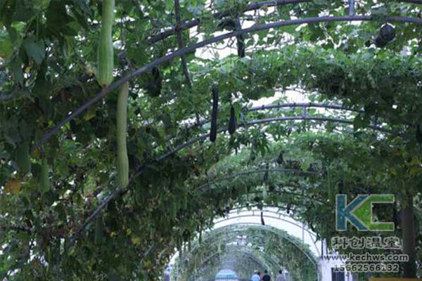 無土栽培，無土栽培技術，無土栽培設備