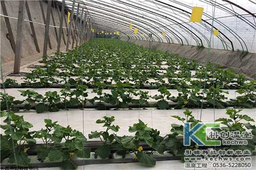 無土栽培，無土栽培技術，無土栽培設備