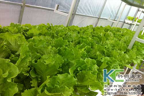 無土栽培，無土栽培技術，無土栽培設備