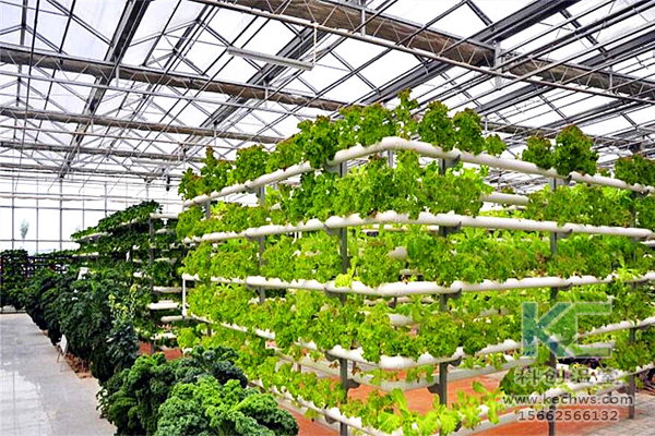 無土栽培，無土栽培技術(shù)，蔬菜栽培
