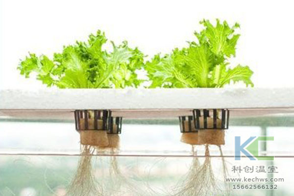 無土栽培技術(shù)，無土栽培設(shè)備，無土栽培，溫室大棚