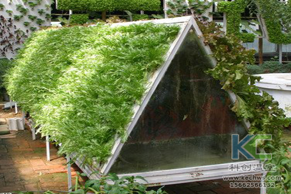 無土栽培技術，無土栽培蔬菜，無土栽培設備，溫室大棚 