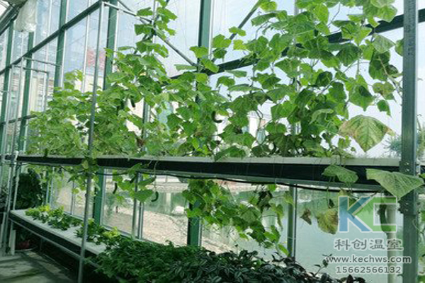 無土栽培蔬菜，無土栽培技術，無土栽培設備，溫室大棚