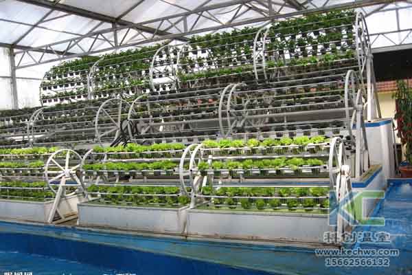 無土栽培，無土栽培技術，無土栽培設備