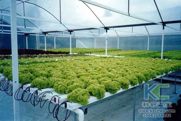 無土栽培技術，溫室大棚造價，無土栽培，溫室大棚