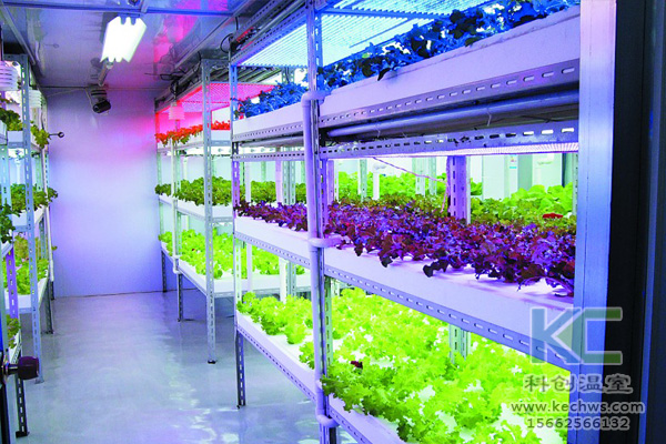 無土栽培技術，無土栽培設備，無土栽培，溫室大棚