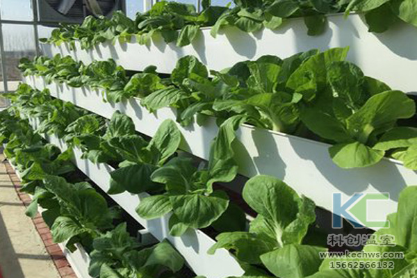 無土栽培技術，無土栽培設備，無土栽培，溫室大棚