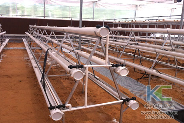 有機蔬菜栽培，無土栽培技術，無土栽培，溫室大棚