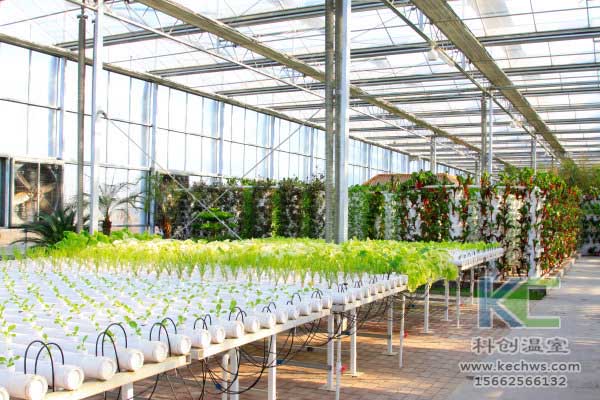 無土栽培,無土栽培技術(shù),無土栽培設(shè)備