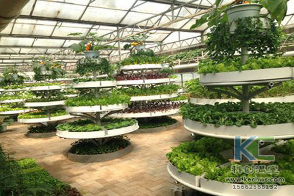 蔬菜無土栽培，無土栽培技術，無土栽培設備，無土栽培