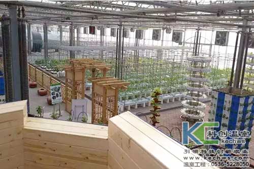 無(wú)土栽培，無(wú)土栽培案例