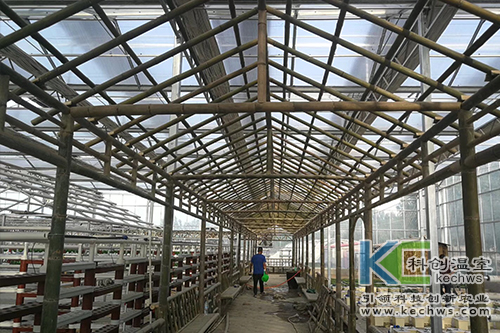 無土栽培,無土栽培技術,工程