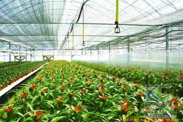 無土栽培，無土栽培技術，無土栽培設備