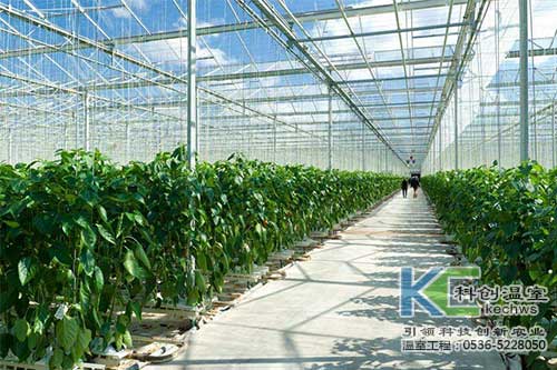 無土栽培，無土栽培技術(shù)，無土栽培設(shè)備