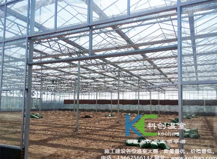 無土栽培，無土栽培技術(shù)，無土栽培設(shè)備