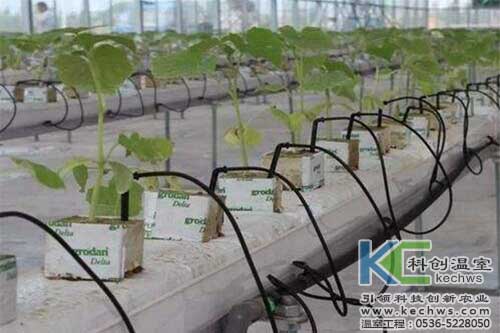 無土栽培，無土栽培技術(shù)，無土栽培設(shè)備
