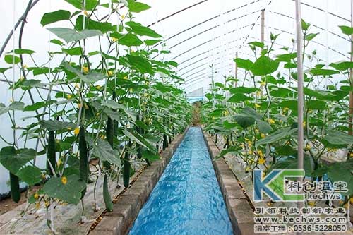 無土栽培，無土栽培技術，無土栽培設備