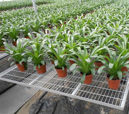 無土栽培，無土栽培技術，無土栽培設備